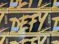 Case of 2000 Paintballs Team